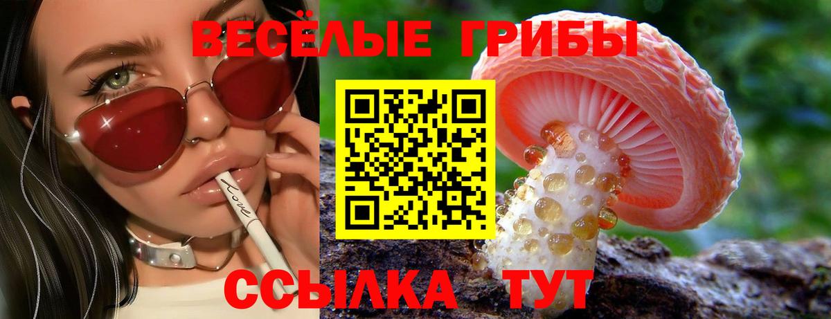 Галлюциногенные грибы Psilocybe Углич